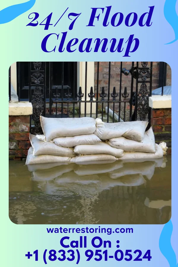 24/7 Flood Cleanup in Wilson, OH
