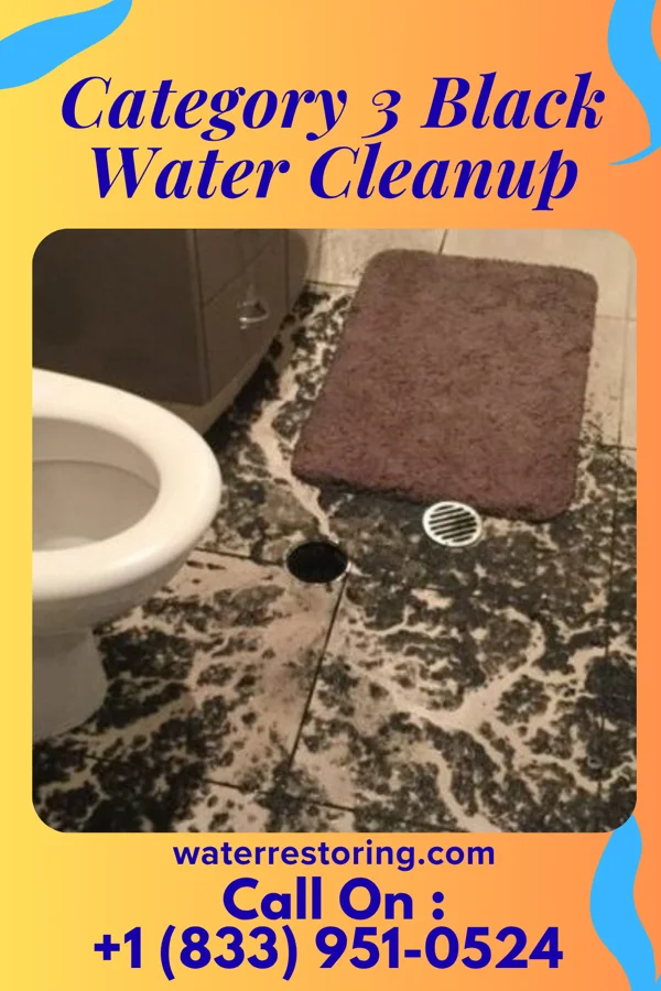 Category 3 Black Water Cleanup in Wilson, OH