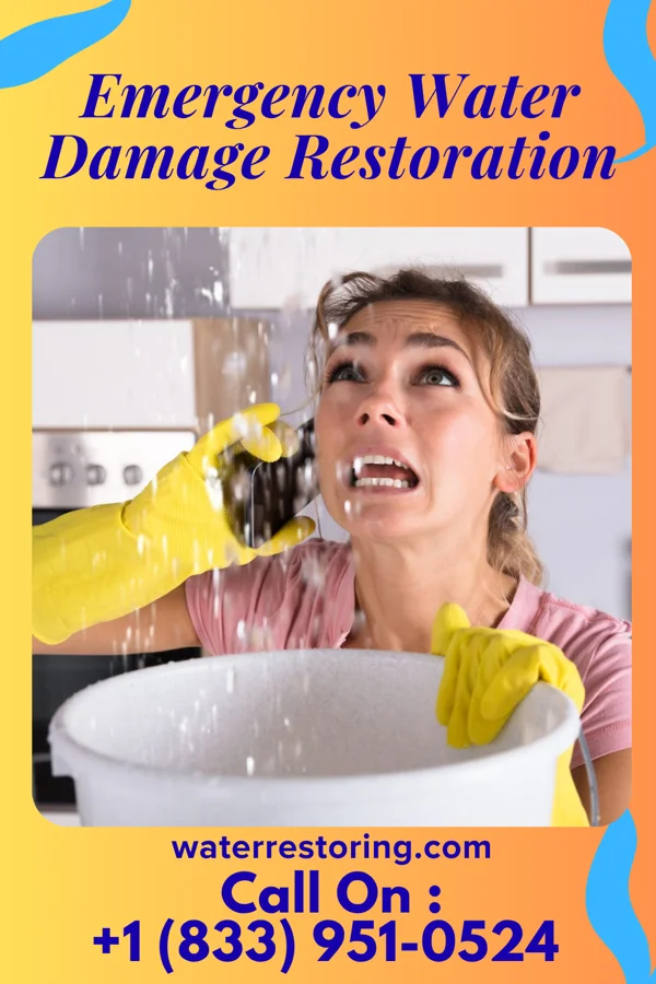 Emergency Water Damage Restoration in Wilson, OH