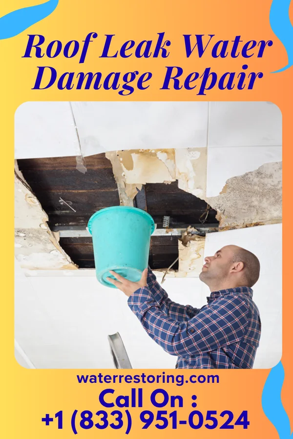 Roof Leak Water Damage Repair in Wilson, OH