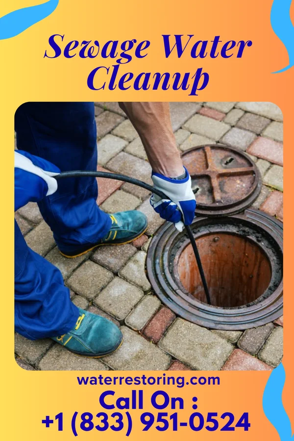 Sewage Water Cleanup in Wilson, OH